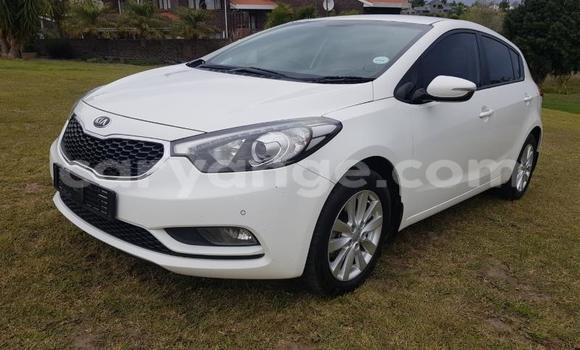 Buy Used Kia Cerato White Car in Gobabis in Omaheke Buy Used Kia Cerato White Car in Gobabis in Omaheke