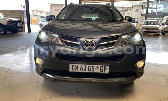Buy Used Toyota RAV4 Blue Car in Windhoek in Namibia