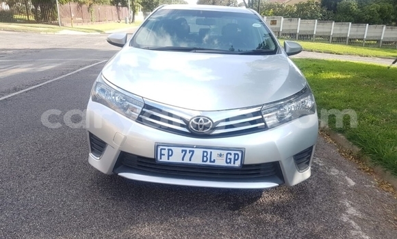 Buy Used Toyota Corolla II Silver Car in Windhoek in Namibia