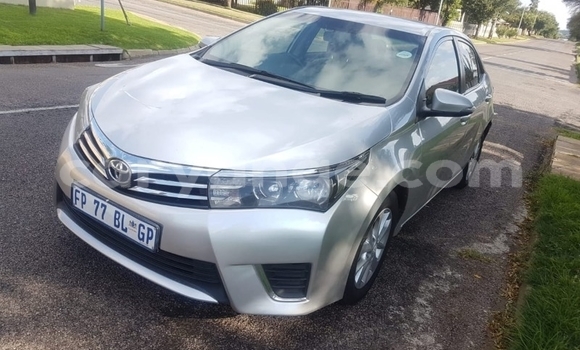 Acheter Occasion Voiture Toyota Corolla II Gris à Windhoek, Namibie Acheter Occasion Voiture Toyota Corolla II Gris à Windhoek, Namibie