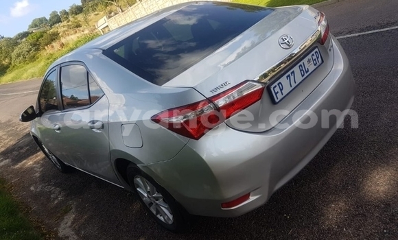 Acheter Occasion Voiture Toyota Corolla II Gris à Windhoek, Namibie Acheter Occasion Voiture Toyota Corolla II Gris à Windhoek, Namibie