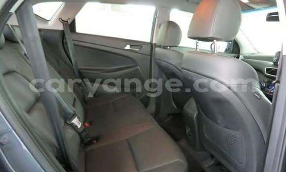 Buy Used Hyundai Tucson Silver Car in Okahandja in Namibia Buy Used Hyundai Tucson Silver Car in Okahandja in Namibia
