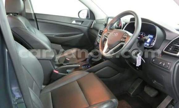 Buy Used Hyundai Tucson Silver Car in Okahandja in Namibia Buy Used Hyundai Tucson Silver Car in Okahandja in Namibia