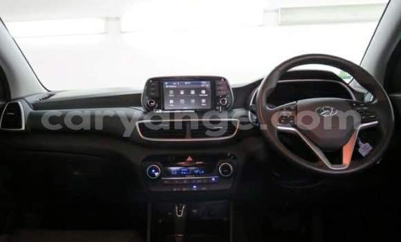 Buy Used Hyundai Tucson Silver Car in Okahandja in Namibia Buy Used Hyundai Tucson Silver Car in Okahandja in Namibia