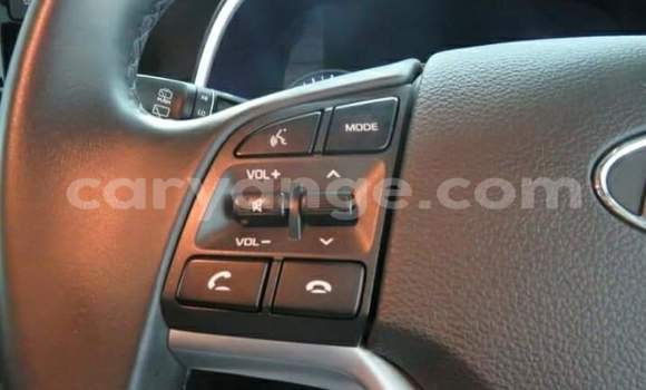 Buy Used Hyundai Tucson Silver Car in Okahandja in Namibia Buy Used Hyundai Tucson Silver Car in Okahandja in Namibia