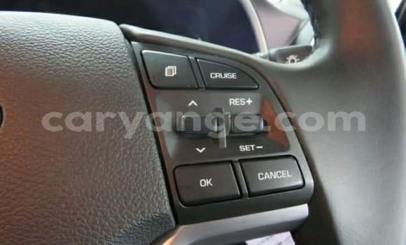 Buy Used Hyundai Tucson Silver Car in Okahandja in Namibia Buy Used Hyundai Tucson Silver Car in Okahandja in Namibia