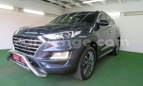 Buy Used Hyundai Tucson Silver Car in Okahandja in Namibia Buy Used Hyundai Tucson Silver Car in Okahandja in Namibia