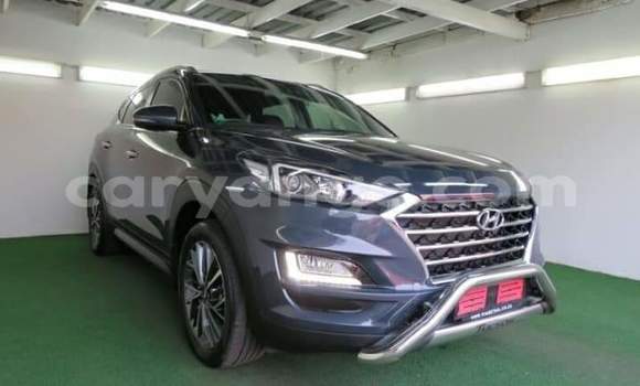 Buy Used Hyundai Tucson Silver Car in Okahandja in Namibia Buy Used Hyundai Tucson Silver Car in Okahandja in Namibia