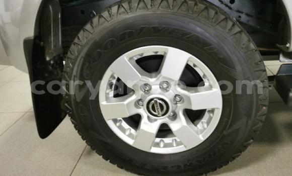 Acheter Occasion Voiture Nissan NP 300 Autre à Windhoek, Namibie Acheter Occasion Voiture Nissan NP 300 Autre à Windhoek, Namibie