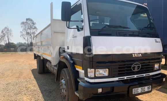 Acheter Occasion Utilitaire Tata LPT Blanc à Windhoek, Namibie Acheter Occasion Utilitaire Tata LPT Blanc à Windhoek, Namibie