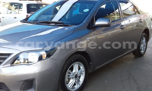 Acheter Occasion Voiture Toyota Corolla Marron à Windhoek, Namibie Acheter Occasion Voiture Toyota Corolla Marron à Windhoek, Namibie