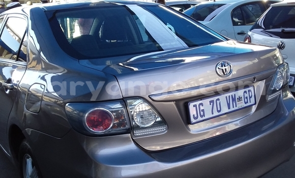 Acheter Occasion Voiture Toyota Corolla Marron à Windhoek, Namibie Acheter Occasion Voiture Toyota Corolla Marron à Windhoek, Namibie