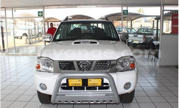 Buy Used Nissan Hardbody White Car in Windhoek in Namibia Buy Used Nissan Hardbody White Car in Windhoek in Namibia