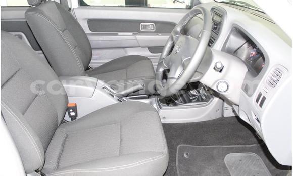 Acheter Occasion Voiture Nissan Hardbody Blanc à Windhoek, Namibie Acheter Occasion Voiture Nissan Hardbody Blanc à Windhoek, Namibie