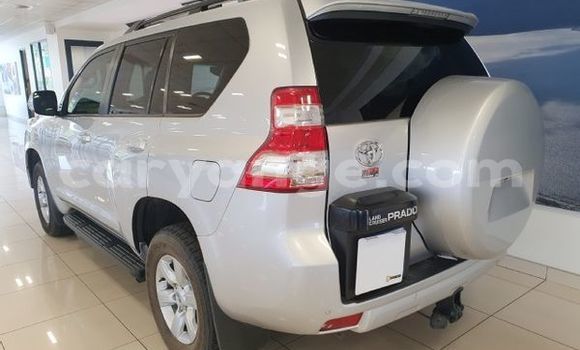 Buy Used Toyota Prado Silver Car in Windhoek in Namibia Buy Used Toyota Prado Silver Car in Windhoek in Namibia