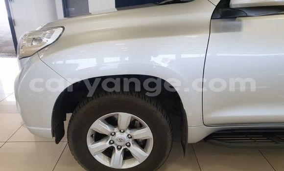 Buy Used Toyota Prado Silver Car in Windhoek in Namibia Buy Used Toyota Prado Silver Car in Windhoek in Namibia