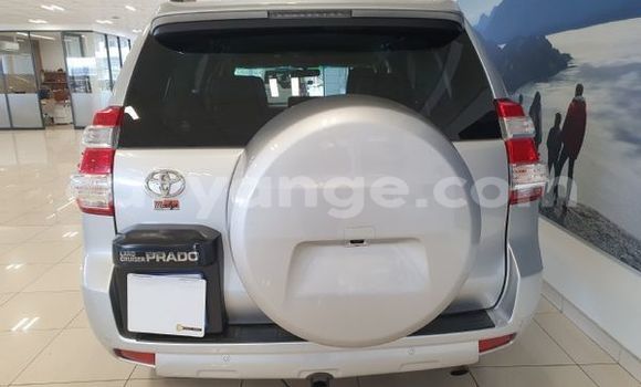 Buy Used Toyota Prado Silver Car in Windhoek in Namibia Buy Used Toyota Prado Silver Car in Windhoek in Namibia