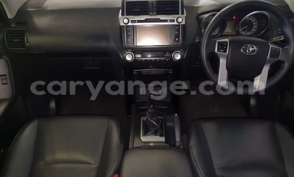 Buy Used Toyota Prado Silver Car in Windhoek in Namibia Buy Used Toyota Prado Silver Car in Windhoek in Namibia