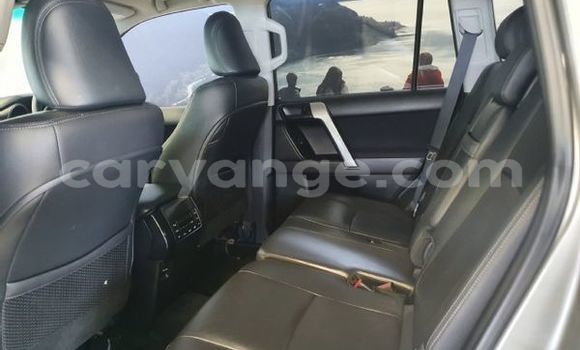 Buy Used Toyota Prado Silver Car in Windhoek in Namibia Buy Used Toyota Prado Silver Car in Windhoek in Namibia