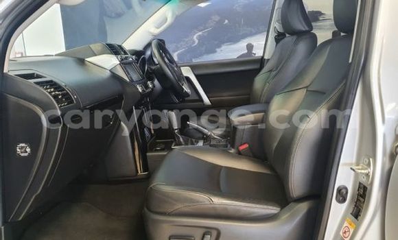 Buy Used Toyota Prado Silver Car in Windhoek in Namibia Buy Used Toyota Prado Silver Car in Windhoek in Namibia