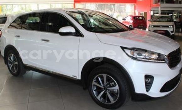 Buy Used Kia Sorento White Car in Gobabis in Omaheke Buy Used Kia Sorento White Car in Gobabis in Omaheke