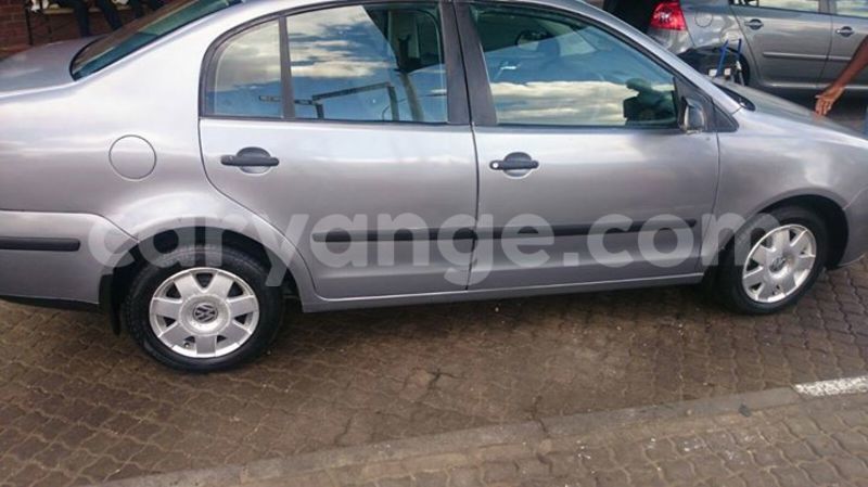 Big with watermark 12309941 10208425553262718 9022847047889803566 o