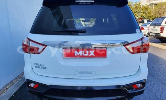 Buy Used Isuzu D–MAX White Car in Windhoek in Namibia Buy Used Isuzu D–MAX White Car in Windhoek in Namibia