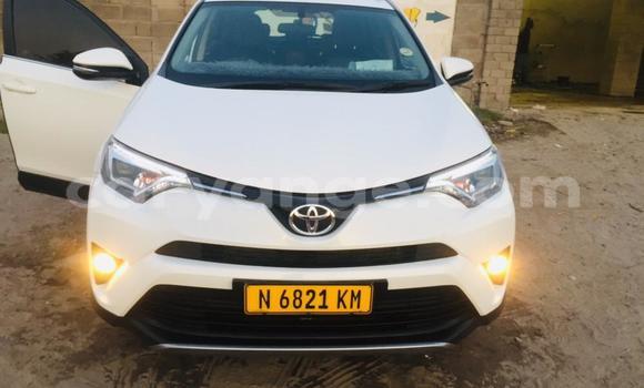 Buy Used Toyota RAV4 White Car in Windhoek in Namibia