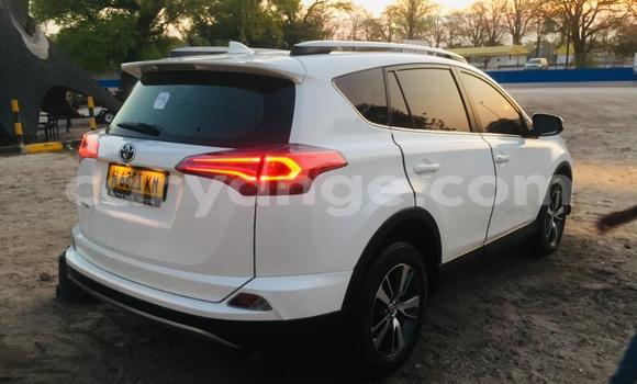 Buy Used Toyota RAV4 White Car in Windhoek in Namibia Buy Used Toyota RAV4 White Car in Windhoek in Namibia