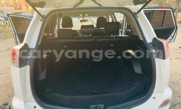 Buy Used Toyota RAV4 White Car in Windhoek in Namibia Buy Used Toyota RAV4 White Car in Windhoek in Namibia
