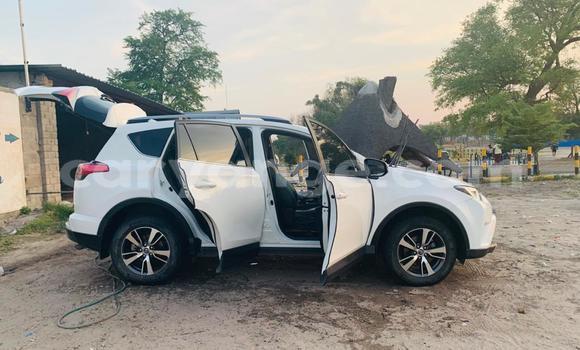 Buy Used Toyota RAV4 White Car in Windhoek in Namibia Buy Used Toyota RAV4 White Car in Windhoek in Namibia