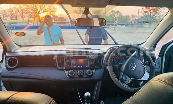 Buy Used Toyota RAV4 White Car in Windhoek in Namibia Buy Used Toyota RAV4 White Car in Windhoek in Namibia