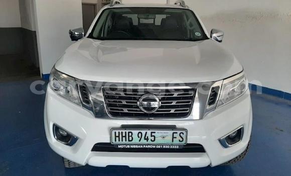 Buy Used Nissan Navara White Car in Windhoek in Namibia Buy Used Nissan Navara White Car in Windhoek in Namibia
