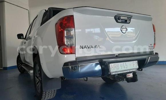 Buy Used Nissan Navara White Car in Windhoek in Namibia Buy Used Nissan Navara White Car in Windhoek in Namibia