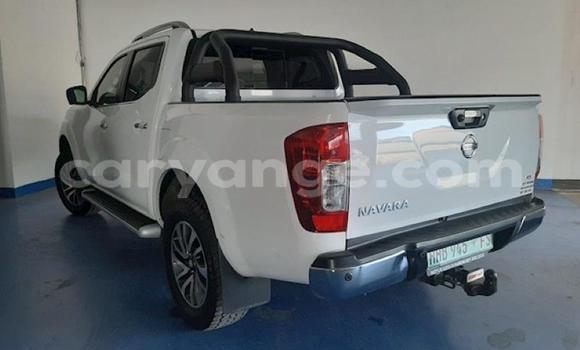 Buy Used Nissan Navara White Car in Windhoek in Namibia Buy Used Nissan Navara White Car in Windhoek in Namibia