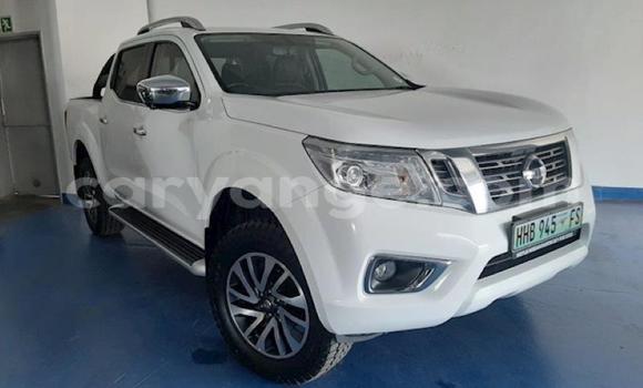 Buy Used Nissan Navara White Car in Windhoek in Namibia Buy Used Nissan Navara White Car in Windhoek in Namibia