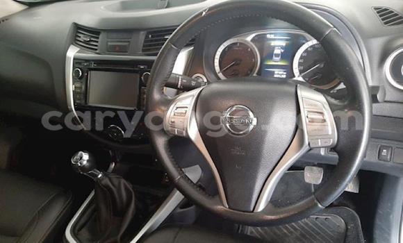 Buy Used Nissan Navara White Car in Windhoek in Namibia Buy Used Nissan Navara White Car in Windhoek in Namibia
