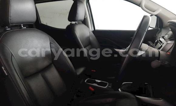 Buy Used Nissan Navara White Car in Windhoek in Namibia Buy Used Nissan Navara White Car in Windhoek in Namibia