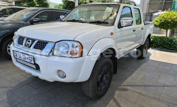 Buy Used Nissan NP 300 White Car in Windhoek in Namibia Buy Used Nissan NP 300 White Car in Windhoek in Namibia