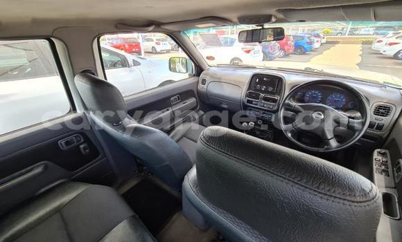 Buy Used Nissan NP 300 White Car in Windhoek in Namibia Buy Used Nissan NP 300 White Car in Windhoek in Namibia