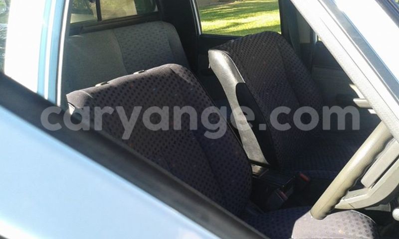 Big with watermark 12592673 1135095416523877 1681779416805508045 n