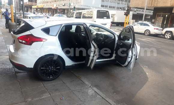 Buy Used Ford Focus White Car in Windhoek in Namibia