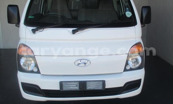 Buy Used Hyundai H200 White Car in Windhoek in Namibia