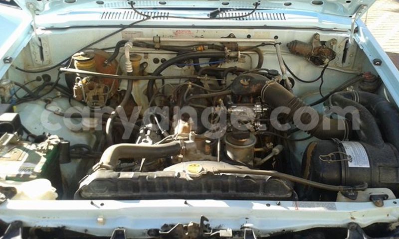 Big with watermark 12642762 1135095513190534 4071691721063127434 n