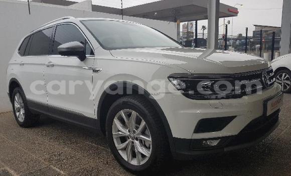 Buy Used Volkswagen Tiguan White Car in Grootfontein in Namibia