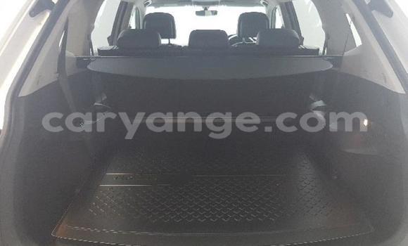 Buy Used Volkswagen Tiguan White Car in Grootfontein in Namibia Buy Used Volkswagen Tiguan White Car in Grootfontein in Namibia