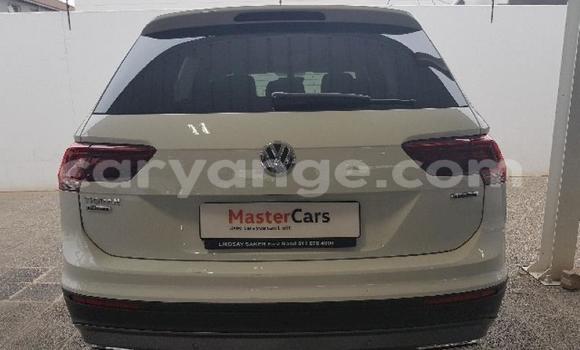 Buy Used Volkswagen Tiguan White Car in Grootfontein in Namibia Buy Used Volkswagen Tiguan White Car in Grootfontein in Namibia