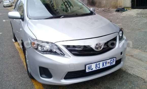 Buy Used Toyota Corolla Silver Car in Windhoek in Namibia