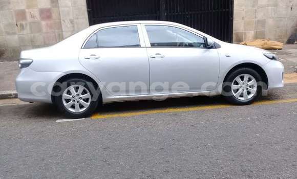 Acheter Occasion Voiture Toyota Corolla Gris à Windhoek, Namibie Acheter Occasion Voiture Toyota Corolla Gris à Windhoek, Namibie
