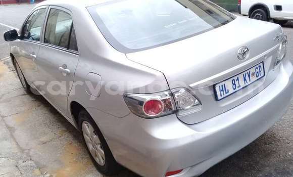 Acheter Occasion Voiture Toyota Corolla Gris à Windhoek, Namibie Acheter Occasion Voiture Toyota Corolla Gris à Windhoek, Namibie